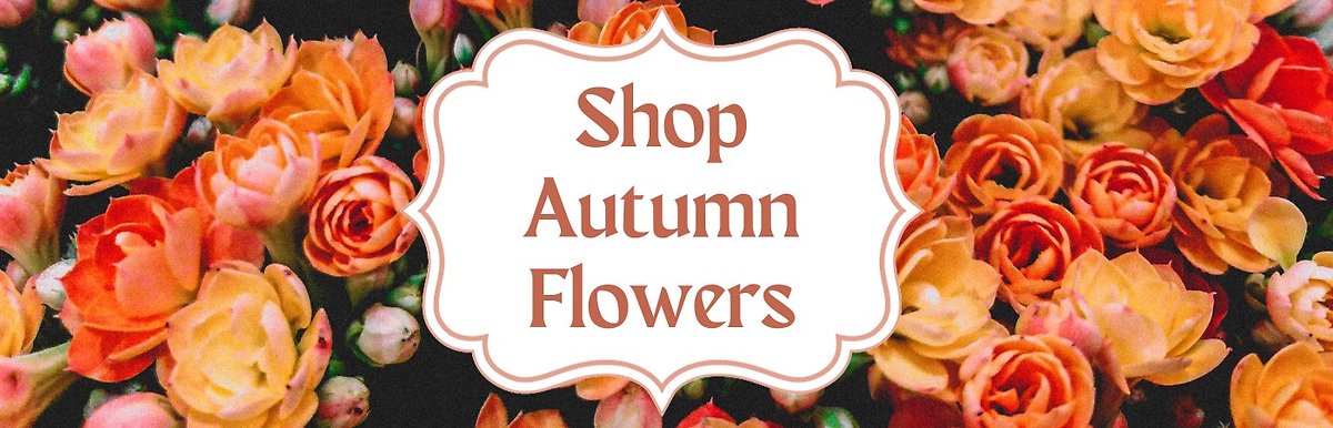 Shop Our Flowers