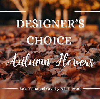 Designer\'s Choice - Autumn