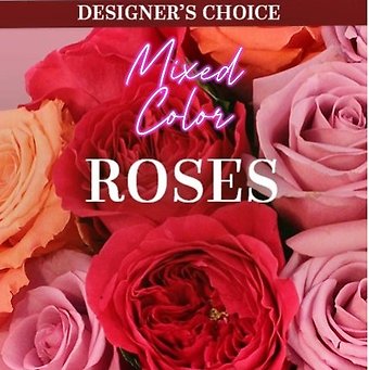 Dozen Mixed Roses